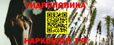 гашик Донской