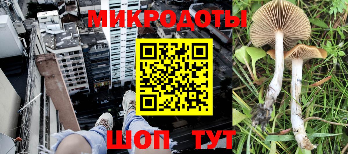 Лыткарино  Псилоцибиновые грибы GOLDEN TEACHER  Вход с VPN 